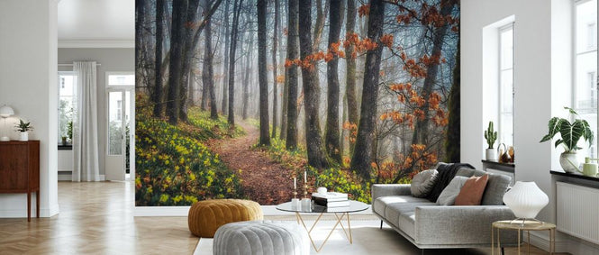 PHOTOWALL / Misty Morning (e332184)