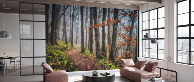 PHOTOWALL / Misty Morning (e332184)