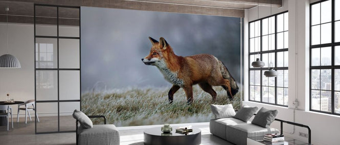 PHOTOWALL / Frosty Morning (e332198)