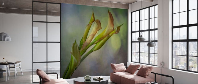 PHOTOWALL / Calla Lily (e332211)
