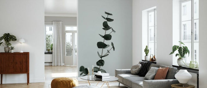 PHOTOWALL / Eucalyptus Natural X (e332237)