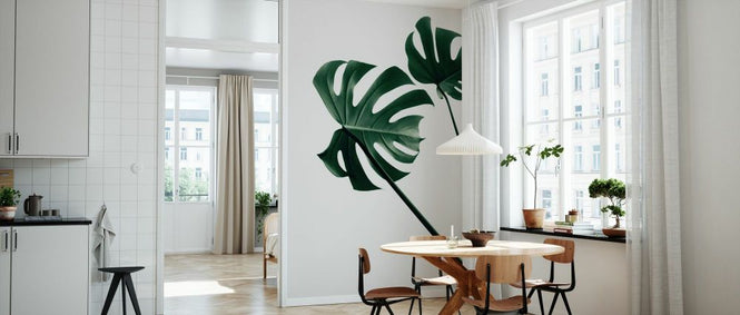 PHOTOWALL / Monstera Natural XLVII (e332311)