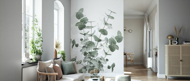 PHOTOWALL / Eucalyptus Creative XVI (e332379)