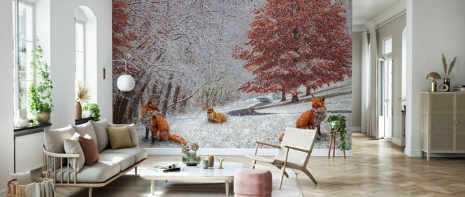 PHOTOWALL / Foxes in Winter White and Red (e332505)