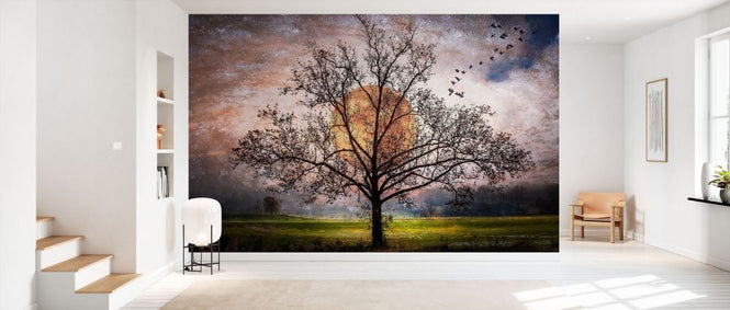 PHOTOWALL / As the Moon Rises (e332519)