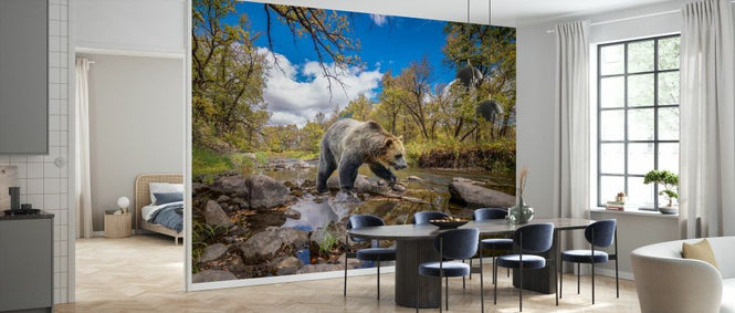 PHOTOWALL / Grizzly Bear Creek (e332547)