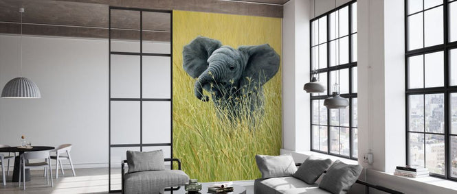 PHOTOWALL / Elephant in the Grass (e332576)