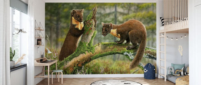 PHOTOWALL / Pine Martens (e332597)