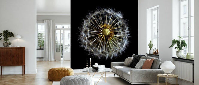 PHOTOWALL / Open Dandelion on Black (e332604)