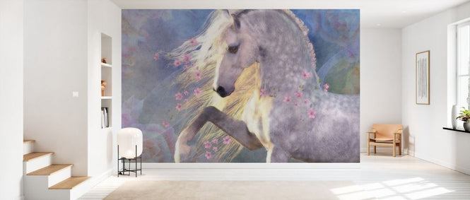 PHOTOWALL / Encantada (e333241)