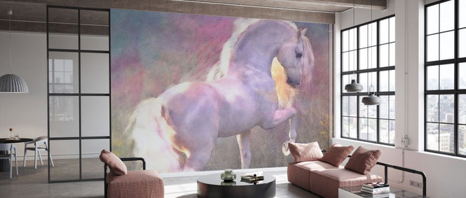 PHOTOWALL / Evenglow (e333243)