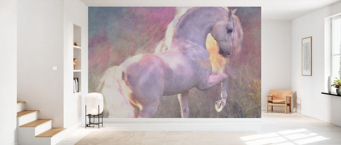 PHOTOWALL / Evenglow (e333243)