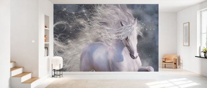 PHOTOWALL / Stardust (e333265)