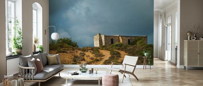 PHOTOWALL / Abandoned Farm Shed (e333780)