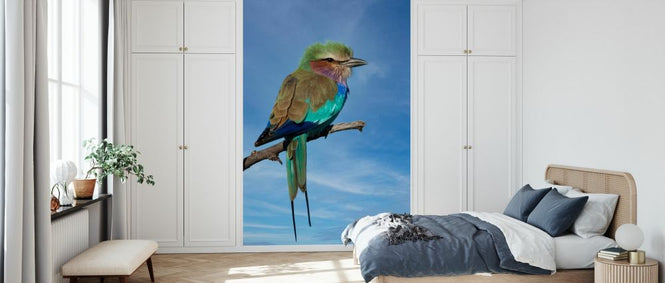 PHOTOWALL / Lilac Breasted Roller (e333785)