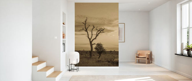 PHOTOWALL / Kruger Park Sunset in Sepia (e333795)