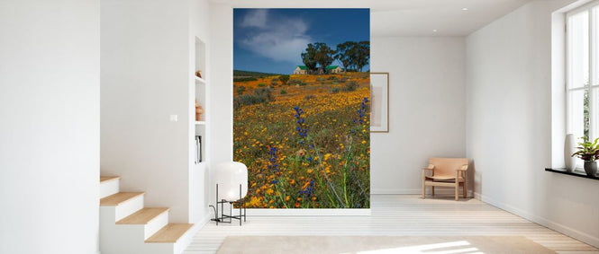 PHOTOWALL / Desert Flowerscape (e333802)