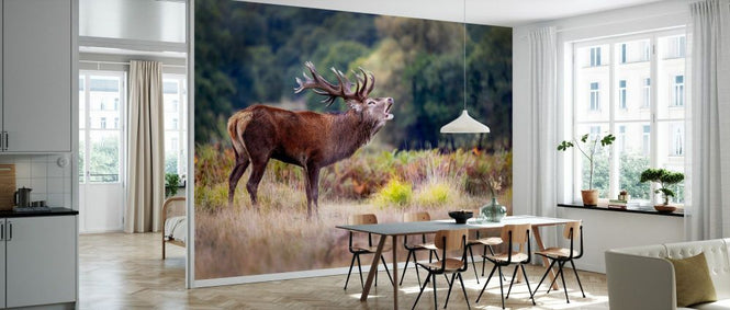 PHOTOWALL / Scream of the Deer (e333708)