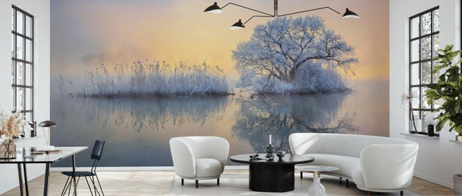 PHOTOWALL / Ice tree (e333720)