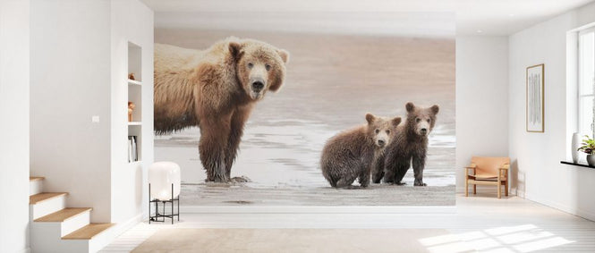 PHOTOWALL / Momma Bear and Cubs (e333722)