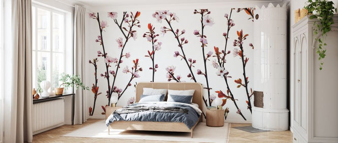 PHOTOWALL / Twigs of Cherry Plant II (e333936)