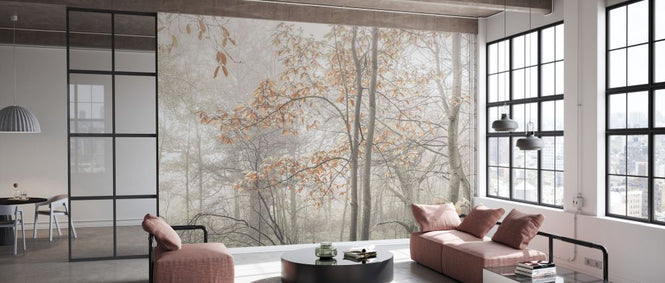 PHOTOWALL / Misty Forest (e333961)