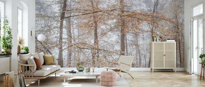 PHOTOWALL / Misty Forest III (e333963)