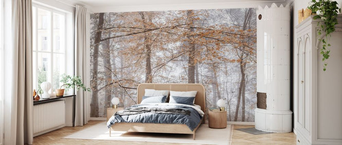 PHOTOWALL / Misty Forest III (e333963)
