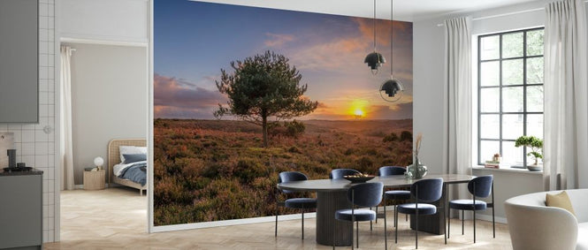 PHOTOWALL / Single Tree in Meadow (e333978)