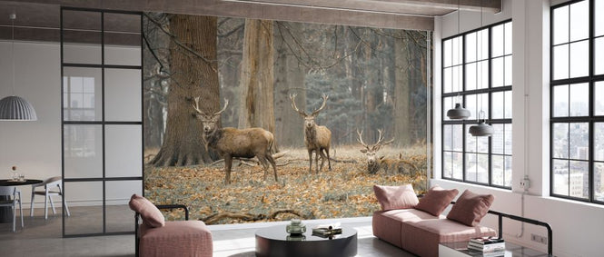 PHOTOWALL / Stags in the Forest (e333980)
