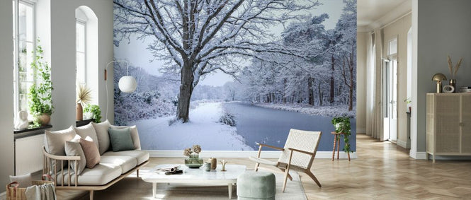 PHOTOWALL / Canal on a Snowy Day (e333985)