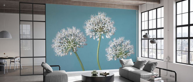 PHOTOWALL / Three Alliums (e334003)