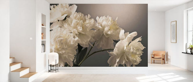 PHOTOWALL / Peonies (e334009)
