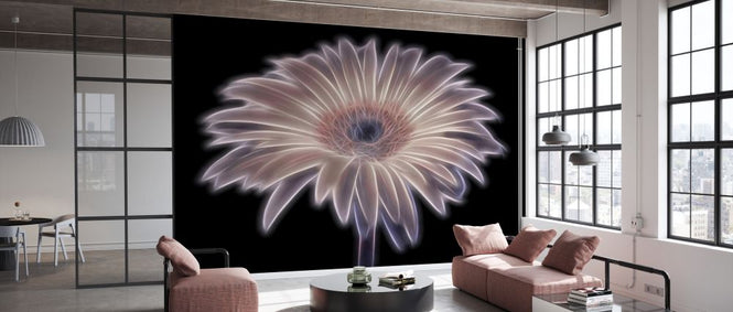 PHOTOWALL / Gerbera Flower (e334021)