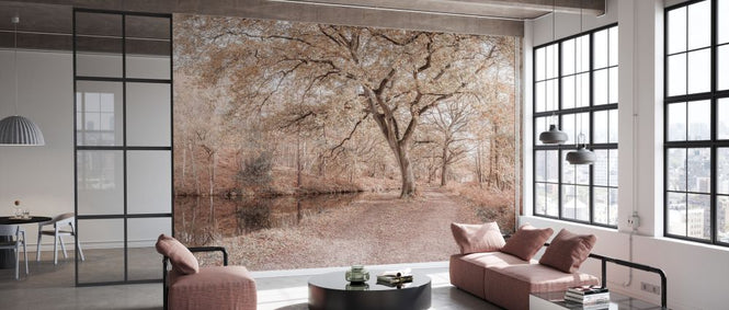 PHOTOWALL / Autumn Canal V (e334071)