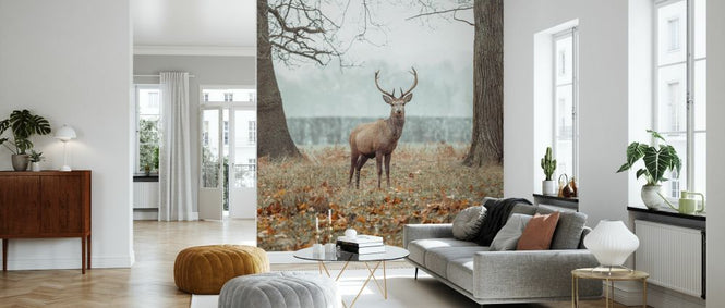 PHOTOWALL / Stag in the Forest II (e334079)