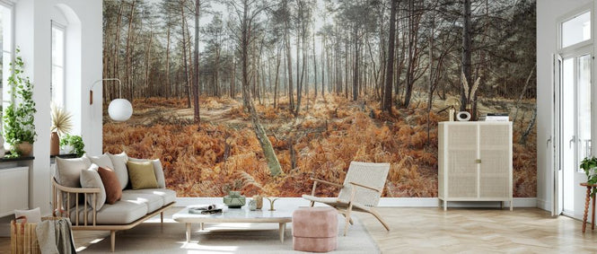 PHOTOWALL / Autumn Forest (e334093)