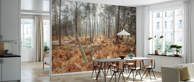 PHOTOWALL / Autumn Forest (e334093)