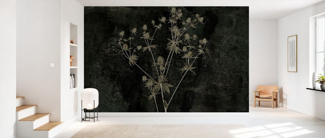 PHOTOWALL / Sea Holly (e334403)
