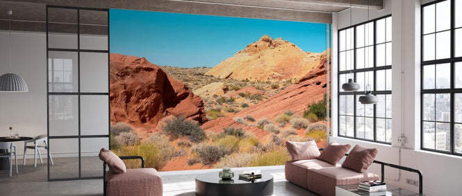 PHOTOWALL / Fire Valley Nevada (e334277)