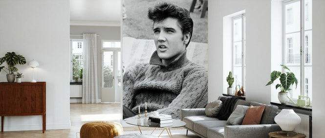 PHOTOWALL / Jailhouse Rock - Elvis Presley (e334506)