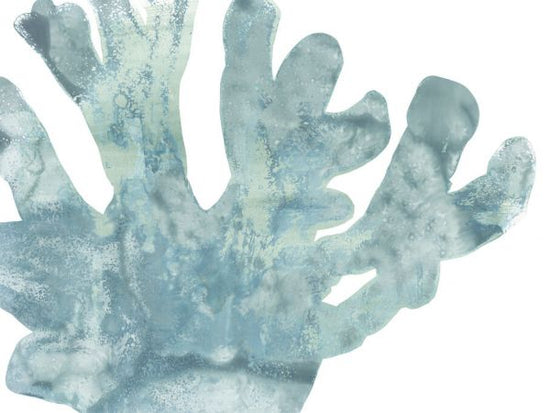 PHOTOWALL / Blue Macro Coral (e334808)