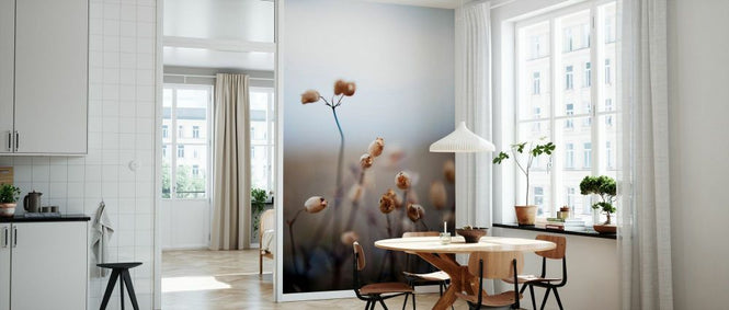 PHOTOWALL / Dry Plants (e335956)
