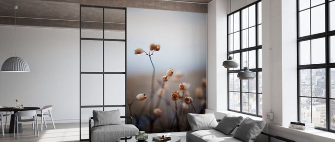 PHOTOWALL / Dry Plants (e335956)