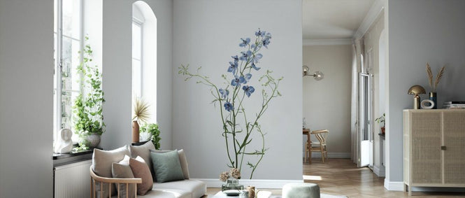 PHOTOWALL / Delphinium (e84081)