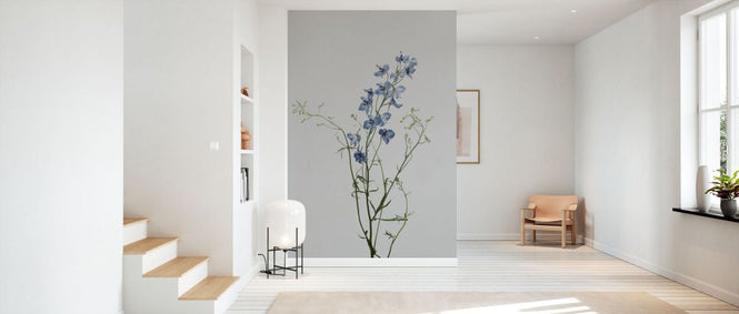 PHOTOWALL / Delphinium (e84081)