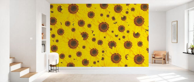 PHOTOWALL / Sunflowers Surface (e84464)