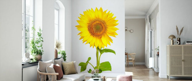 PHOTOWALL / Sunflower (e84540)