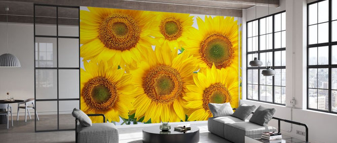 PHOTOWALL / Yellow Sunflowers (e84541)
