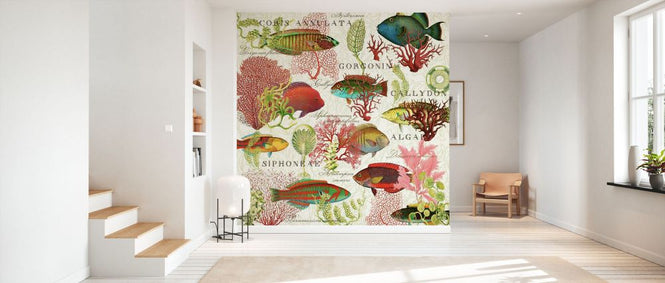 PHOTOWALL / Red Coral and Fish (e84733)